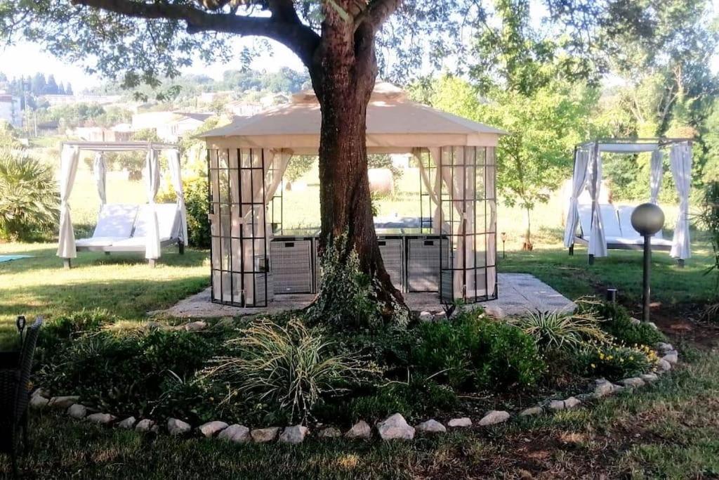 Apartment Country Chic Antico Casale - Piscina Idromassaggio Lettini, Solarium, Cinema Experience, Wifi, Parcheggio Caiazzo