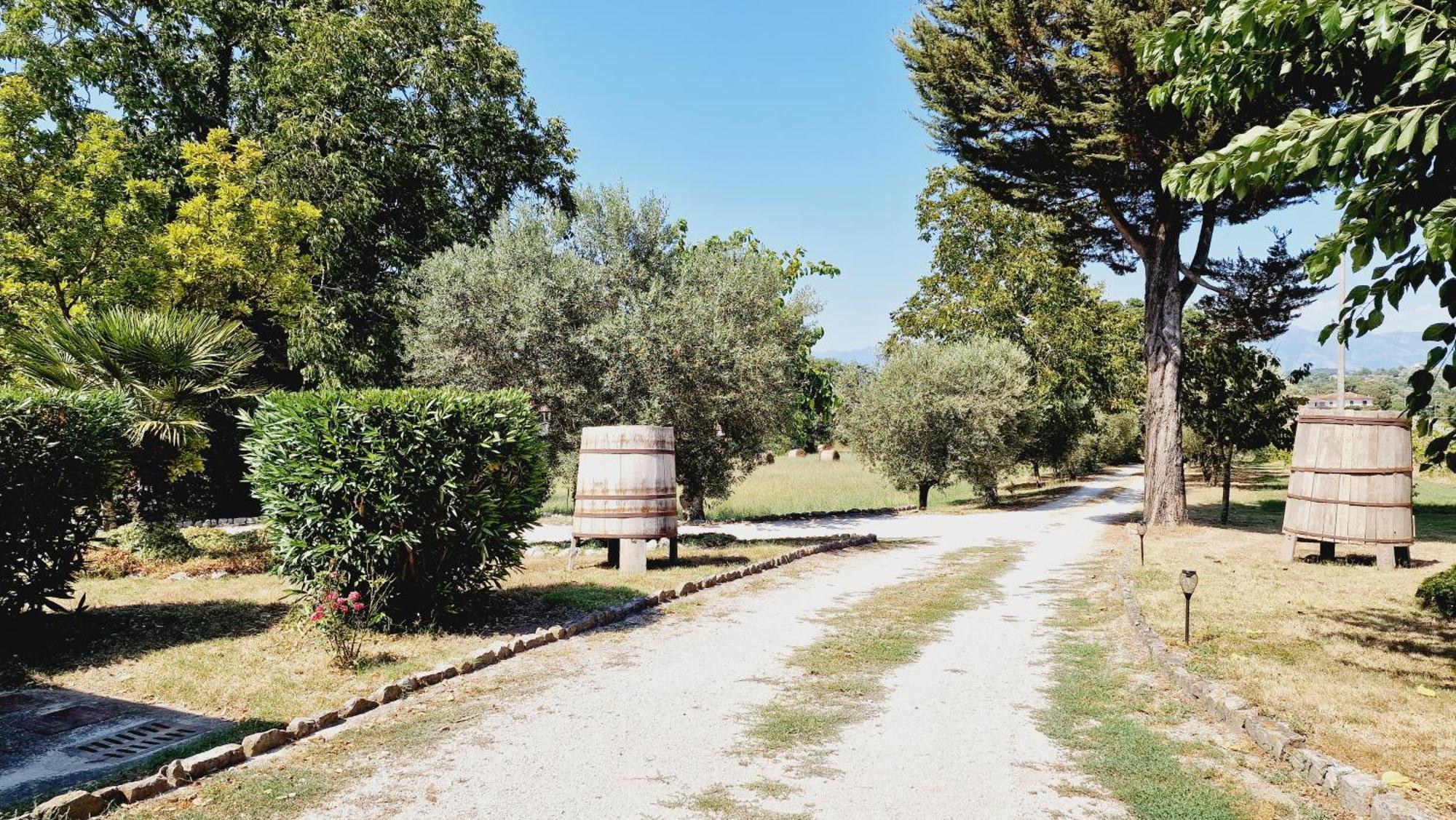 Country Chic Antico Casale - Piscina Idromassaggio Lettini, Solarium, Cinema Experience, Wifi, Parcheggio Apartment